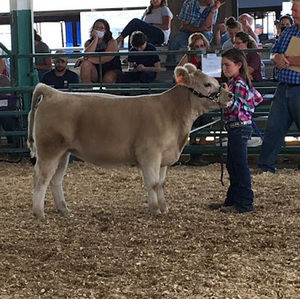 Meet your Posher, Molly